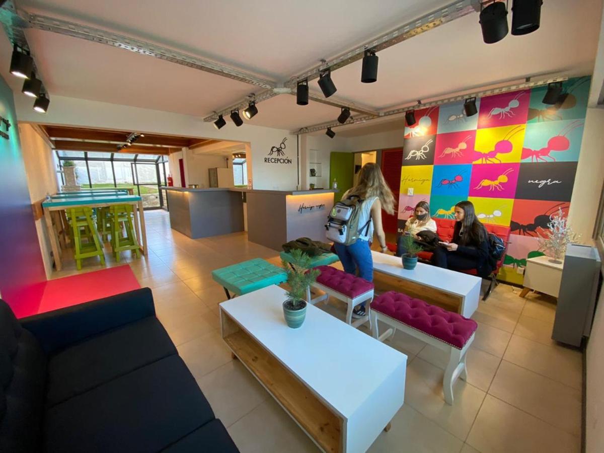 Hostel Hormiga Negra San Carlos de Bariloche Luaran gambar